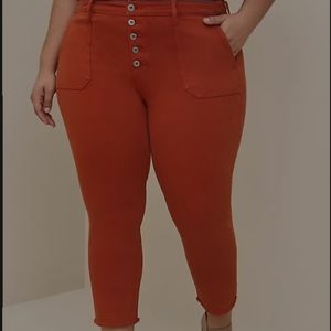 Vintage Stretch High Rise Jeans- Plus Size 24 (color Picante)